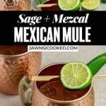 mexican mule recipe
