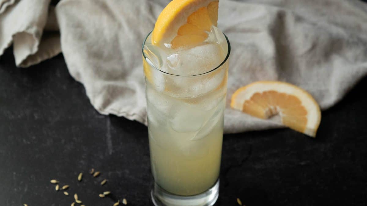 Fennel Grapefruit Vodka Fizz Jawns I Cooked