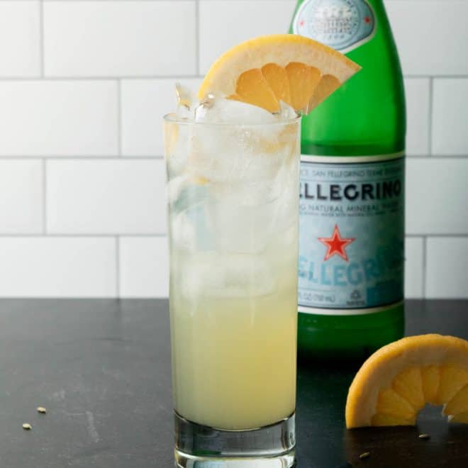 Fennel Grapefruit Vodka Fizz Jawns I Cooked