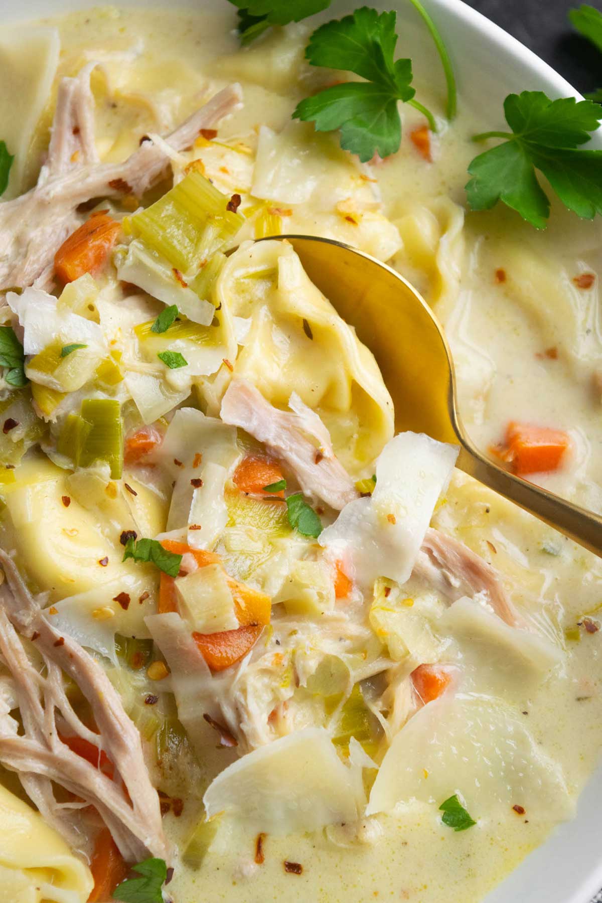 Close-up of creamy chicken tortellini soup with leeks, shredded chicken, carrots, Parmesan, and a gold spoon.