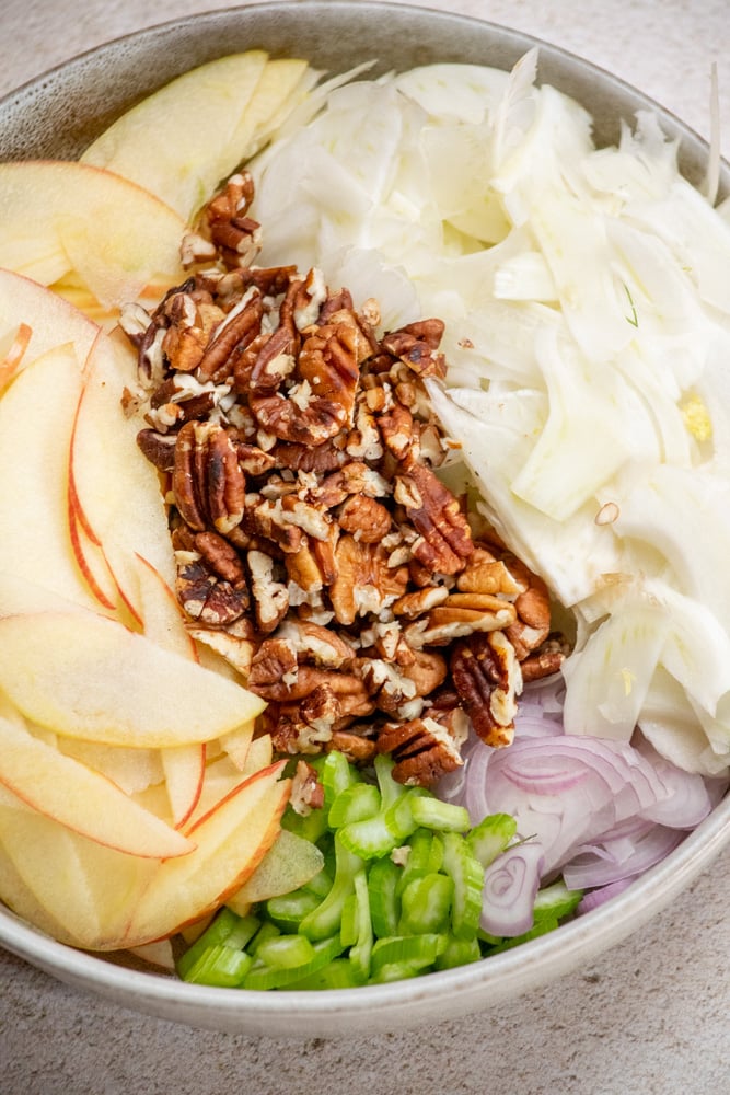 add the fennel. apples, celery. shallot slices, and toasted pecans to a bowl