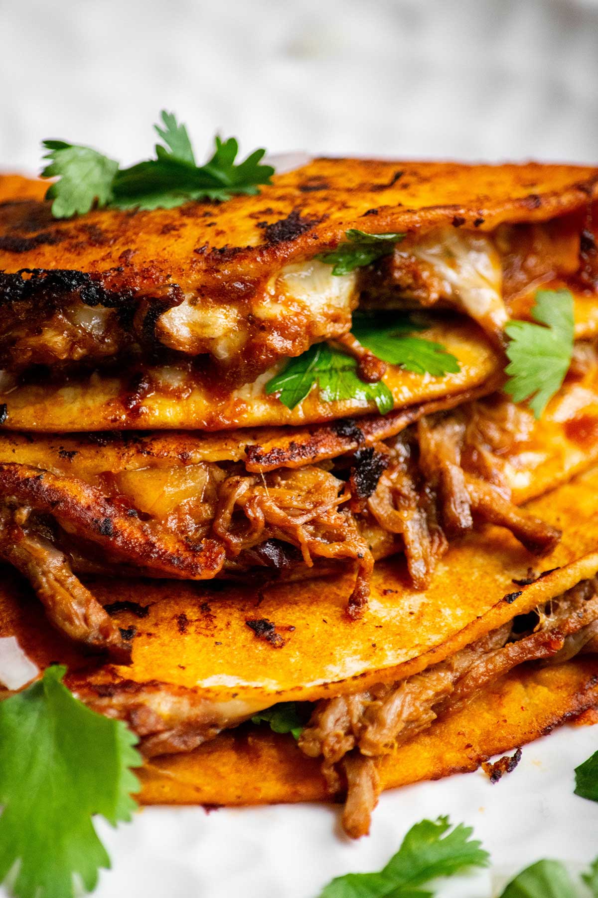 Closeup detail of Crock Pot Birria Tacos on a plate.