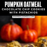 pumpkin chocolate chip cookies