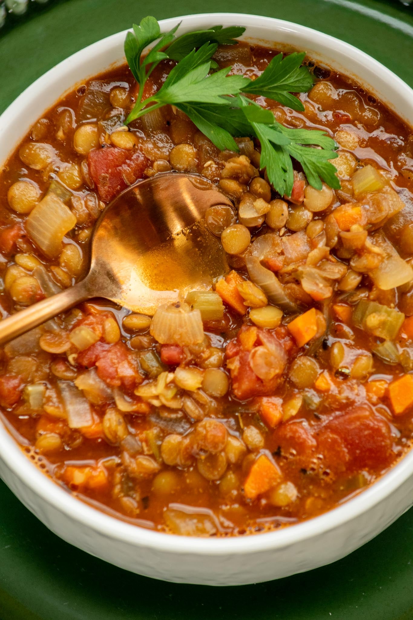Close-up of easy green lentil soup with carrots, celery, fire-roasted tomatoes, parsley, and a spoon in the bowl.