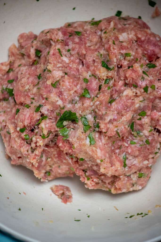 mix all ingredients together well with your hands until just combined, being careful not to over mix. 