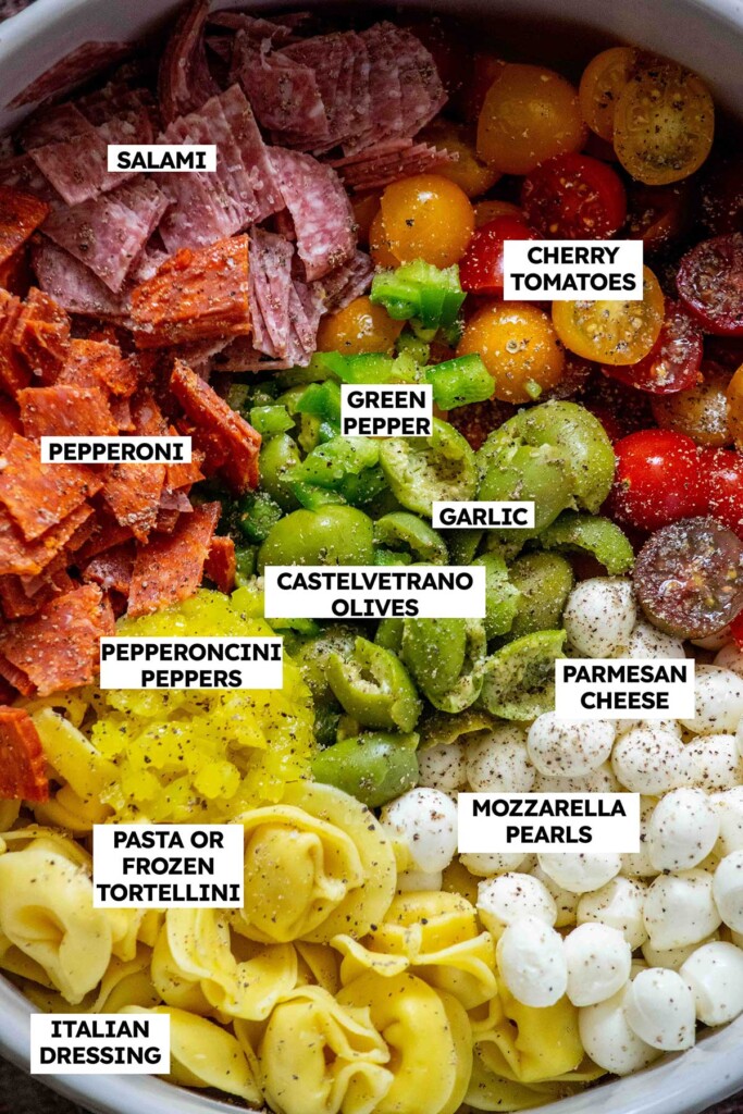 Pasta Salad with Italian Dressing Ingredients 