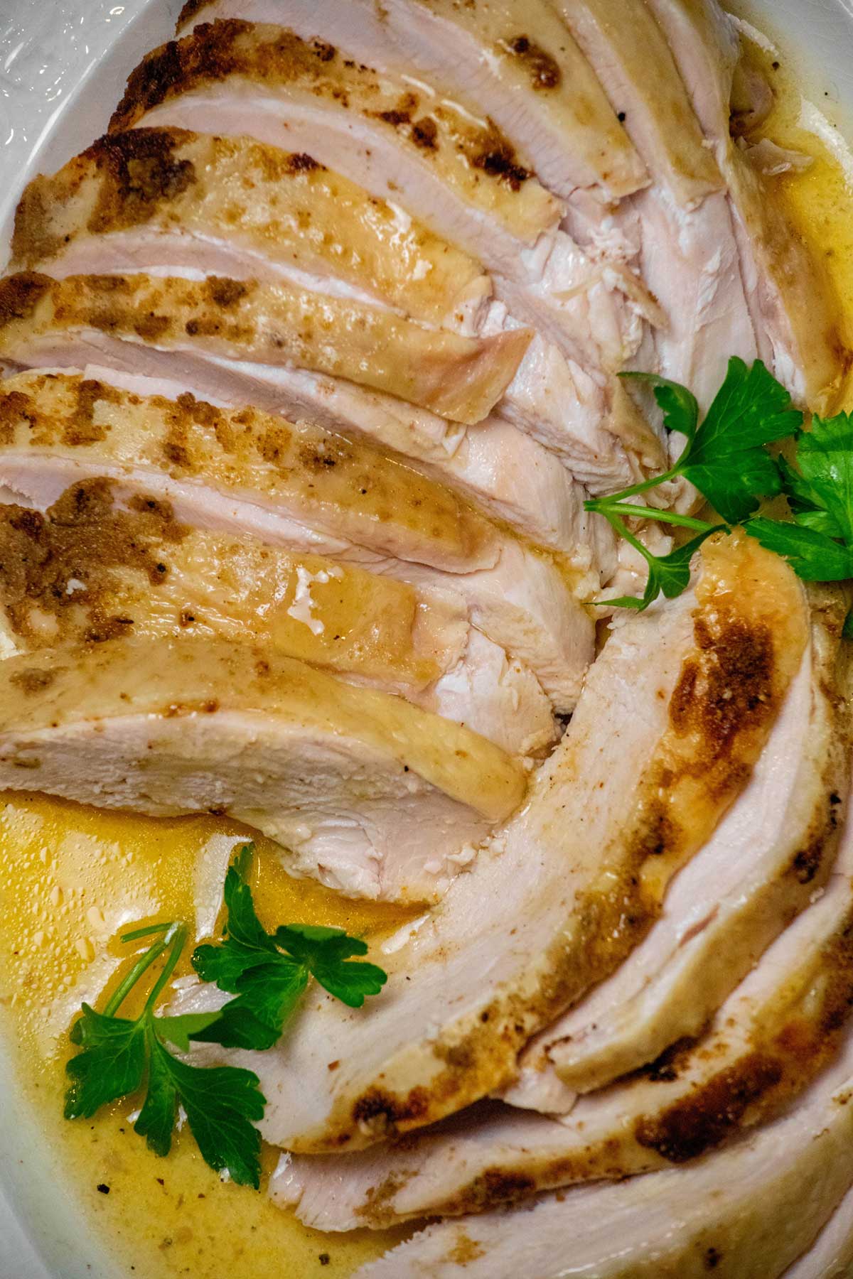 Bone-In Crockpot Turkey Breast