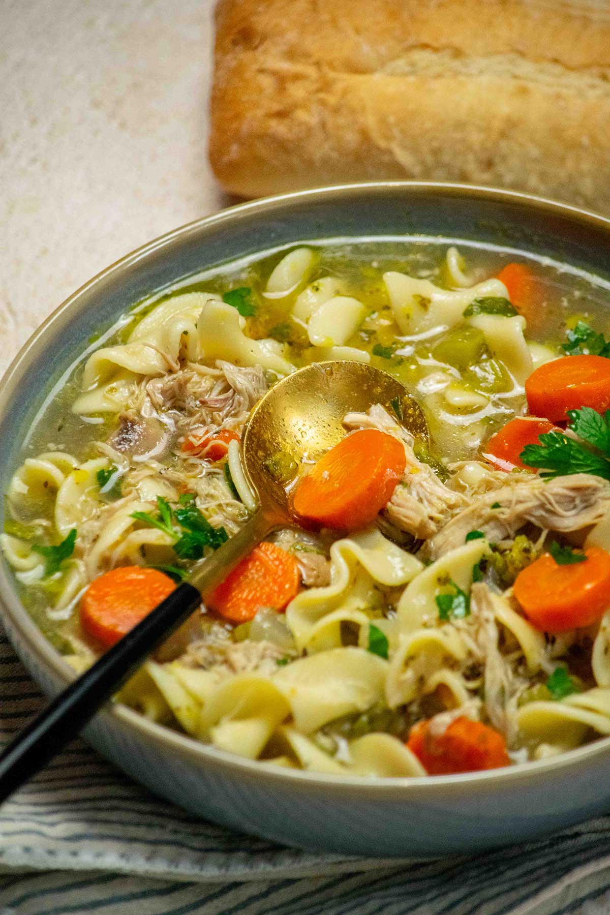 Rotisserie Chicken Noodle Soup -30 Minute (with Leftover Rotisserie Chicken)