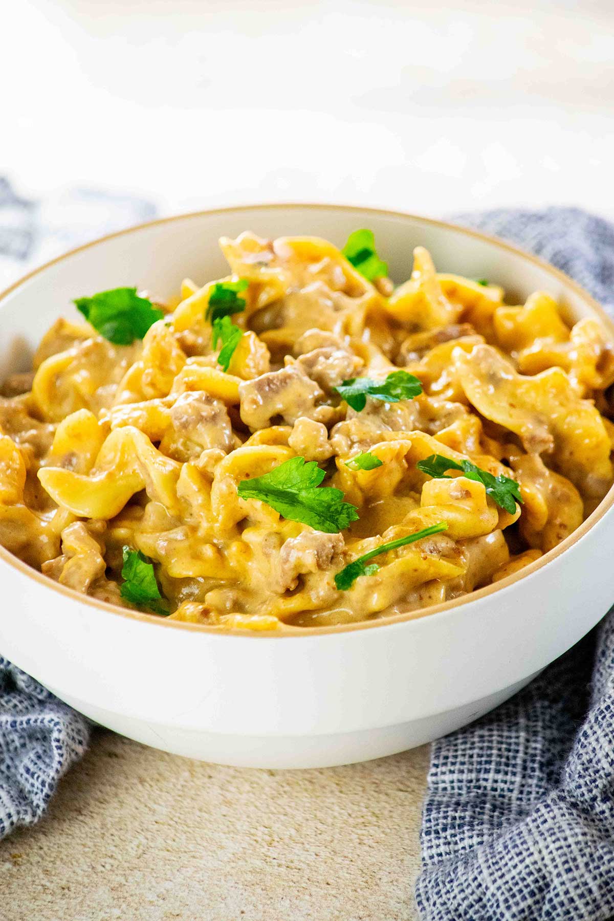 Beef Stroganoff Hamburger Helper (One-Pot)
