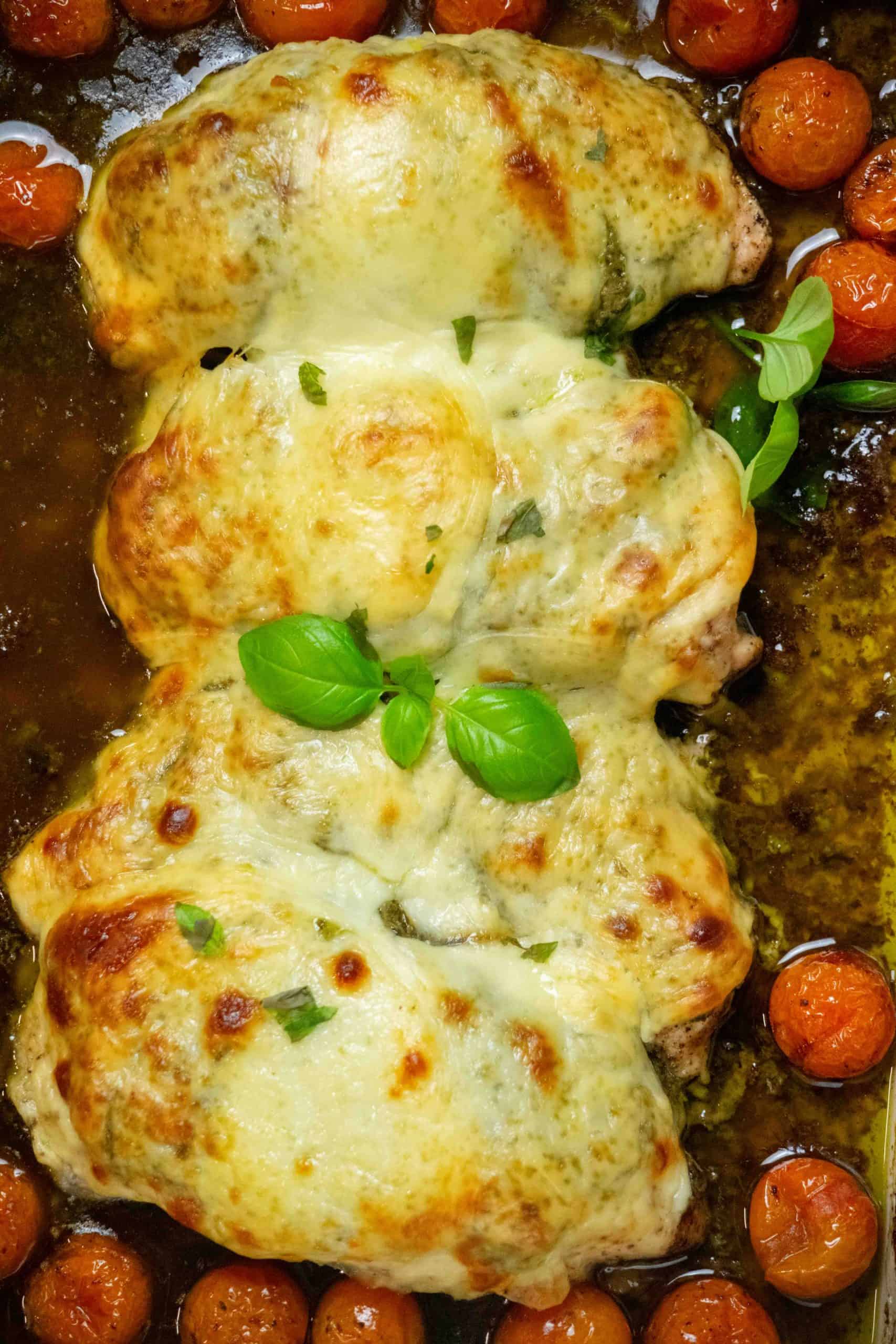 chicken pesto sauce recipe