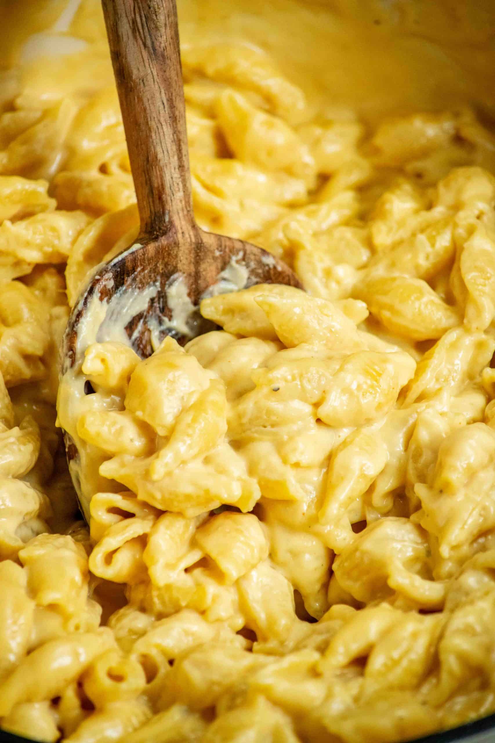 Stovetop Shells Macaroni and Cheese