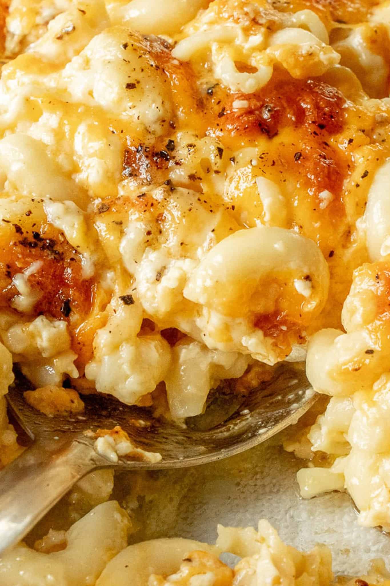 southern mac and cheese