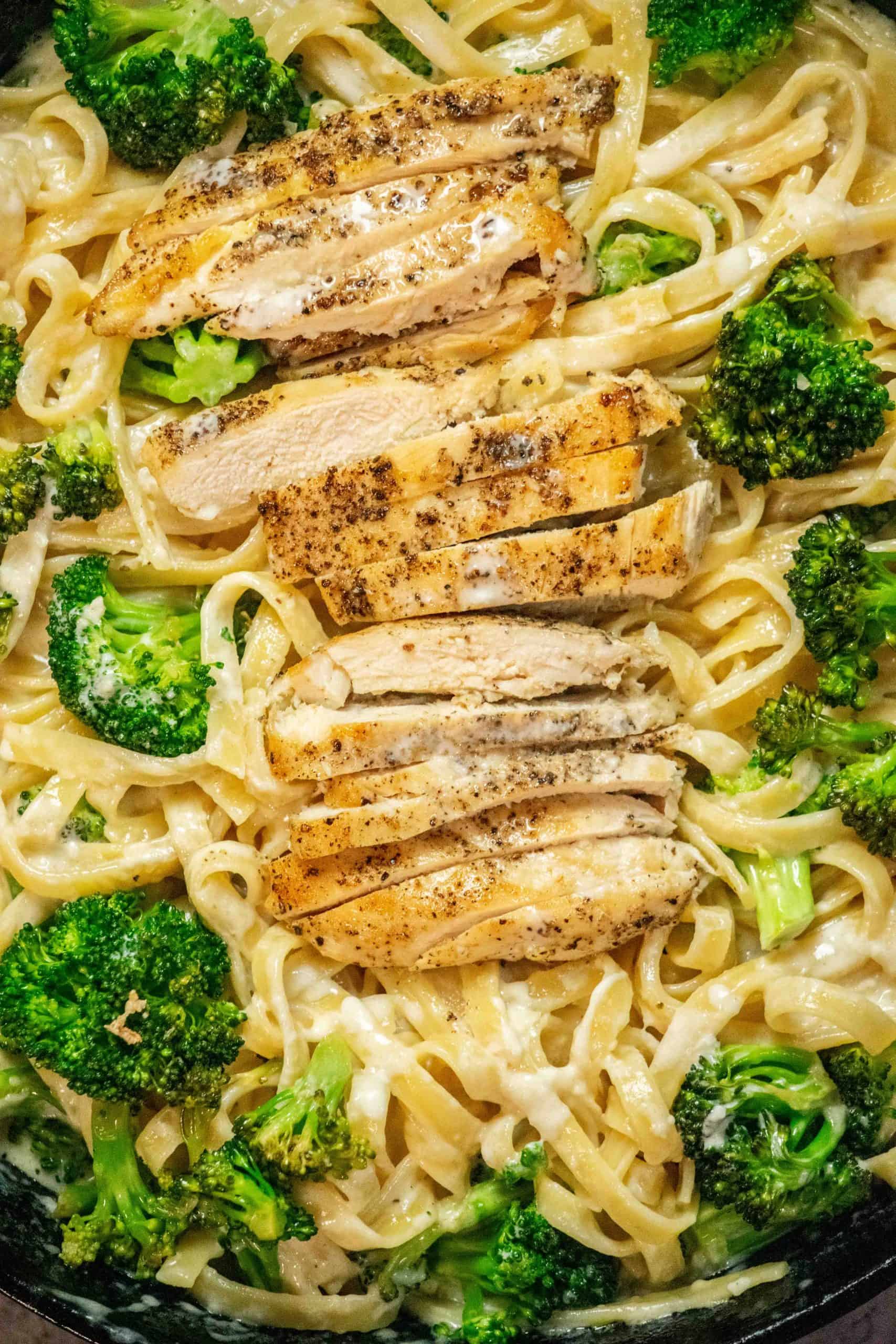 chicken broccoli fettuccine alfredo recipe
