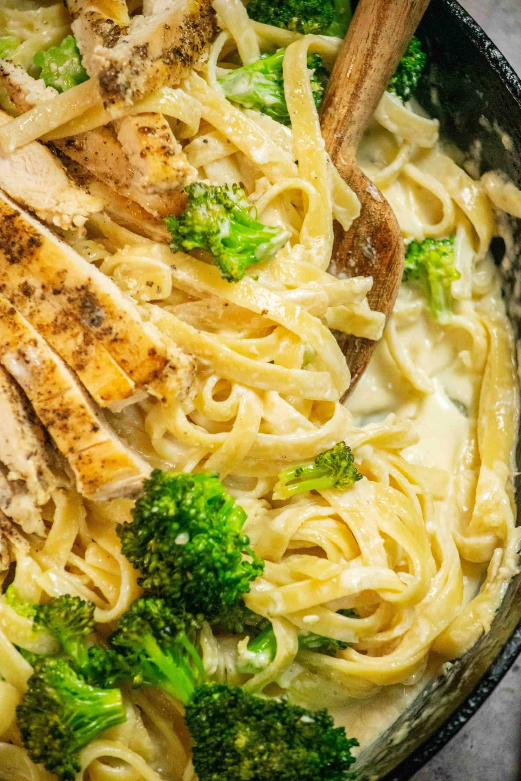 chicken broccoli fettuccine alfredo recipe