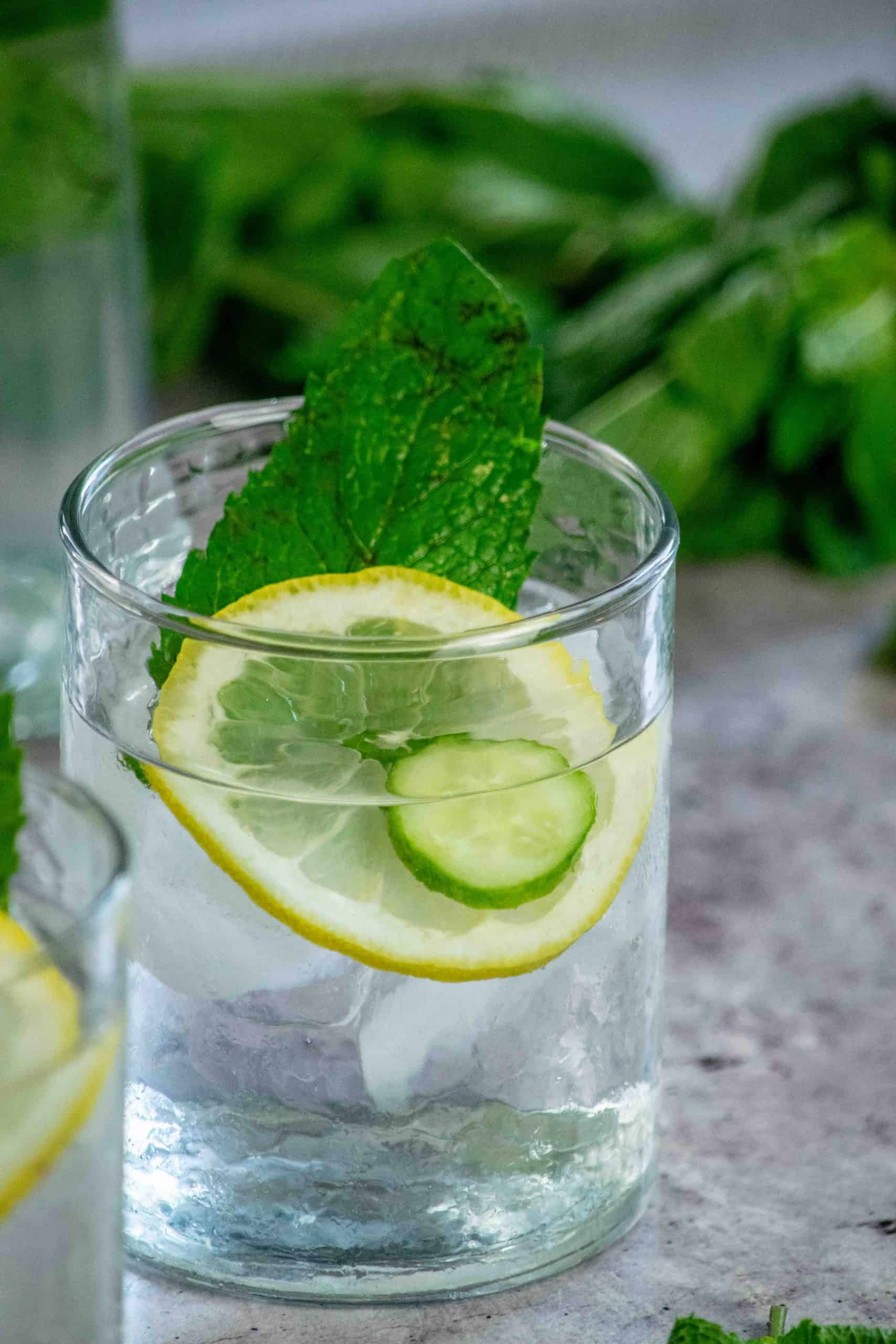 cucumber lemon mint water recipe