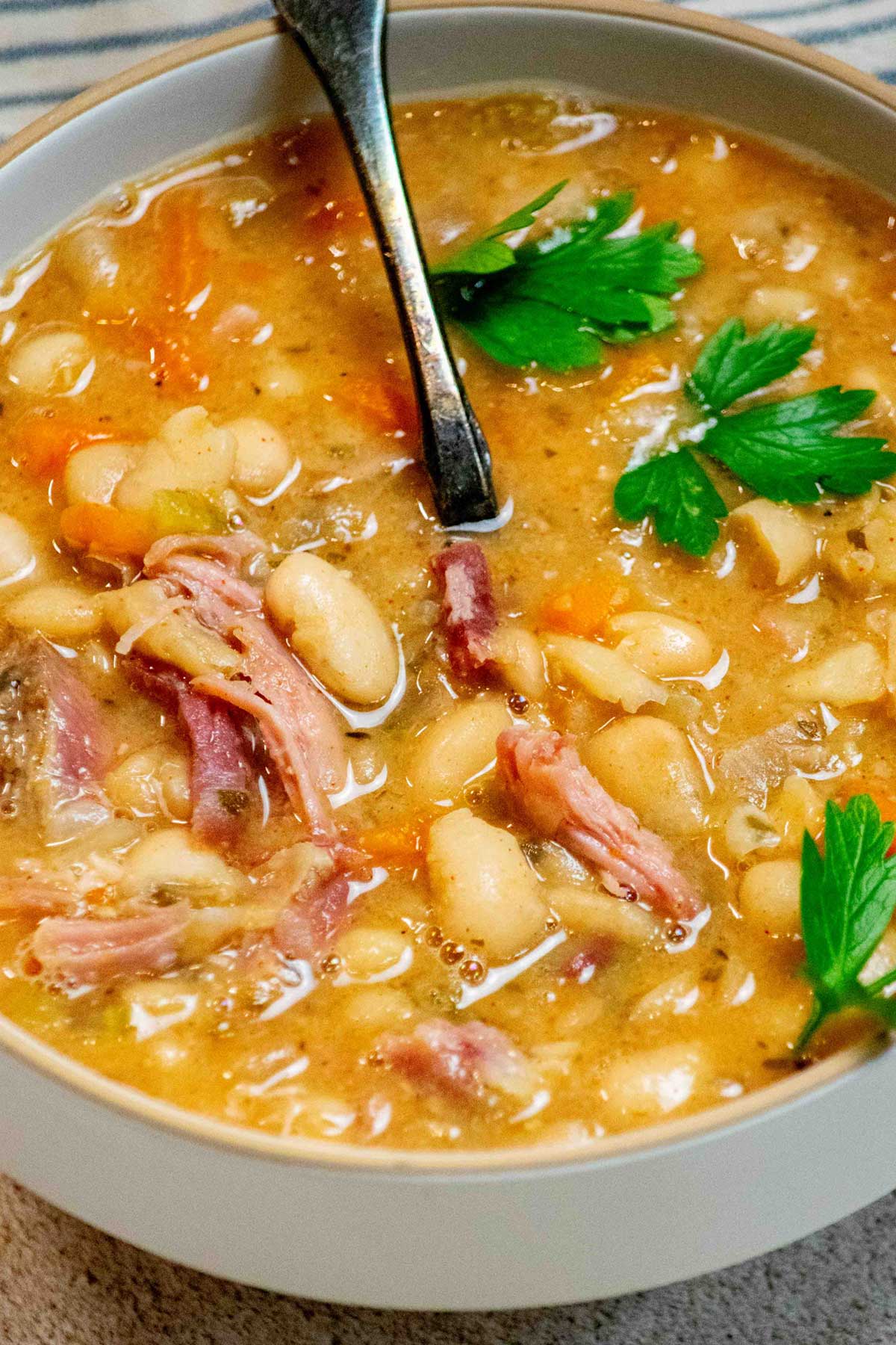 Easy Slow Cooker (Crockpot) Ham Bone Bean Soup