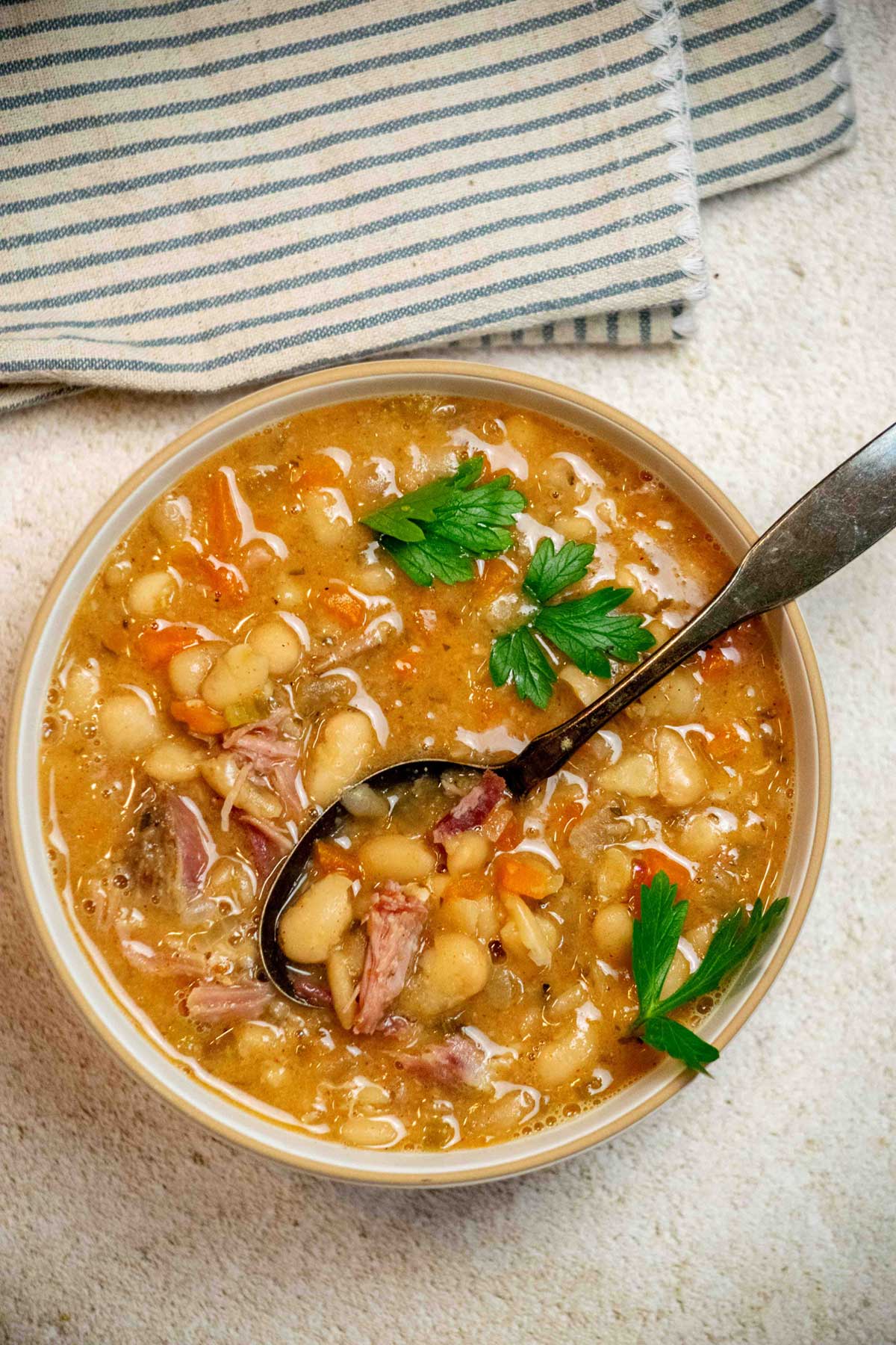 Easy Slow Cooker (Crockpot) Ham Bone Bean Soup