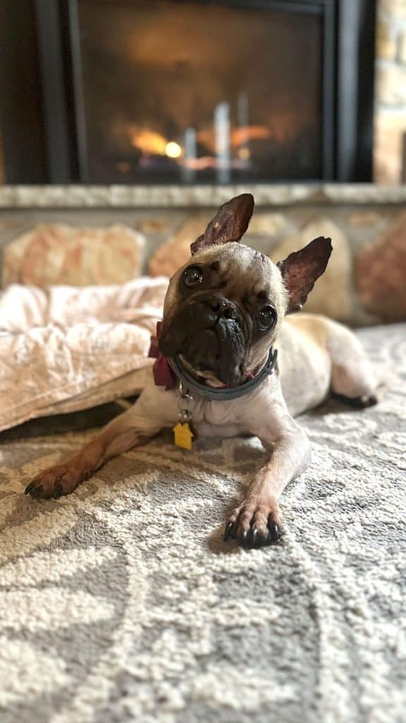 frankie