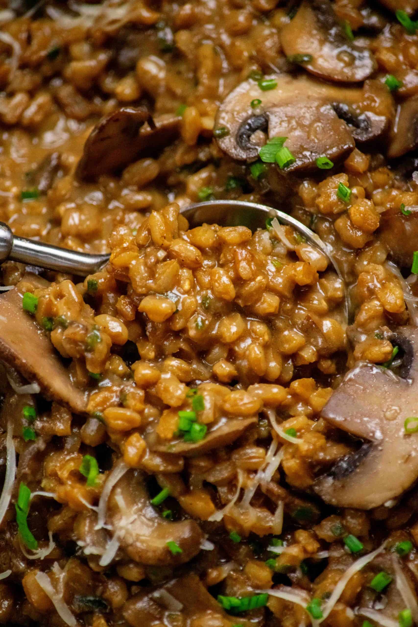 Farrotto recipe