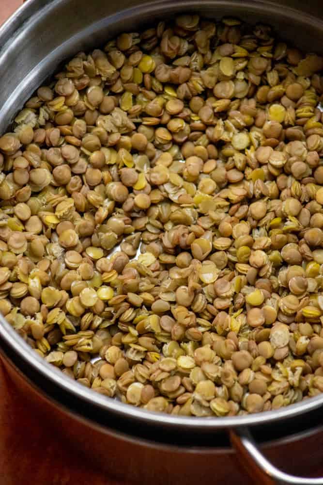 Steaming the lentils for the Lentil Pasta Salad
