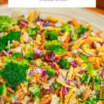 broccoli salad with cranberries