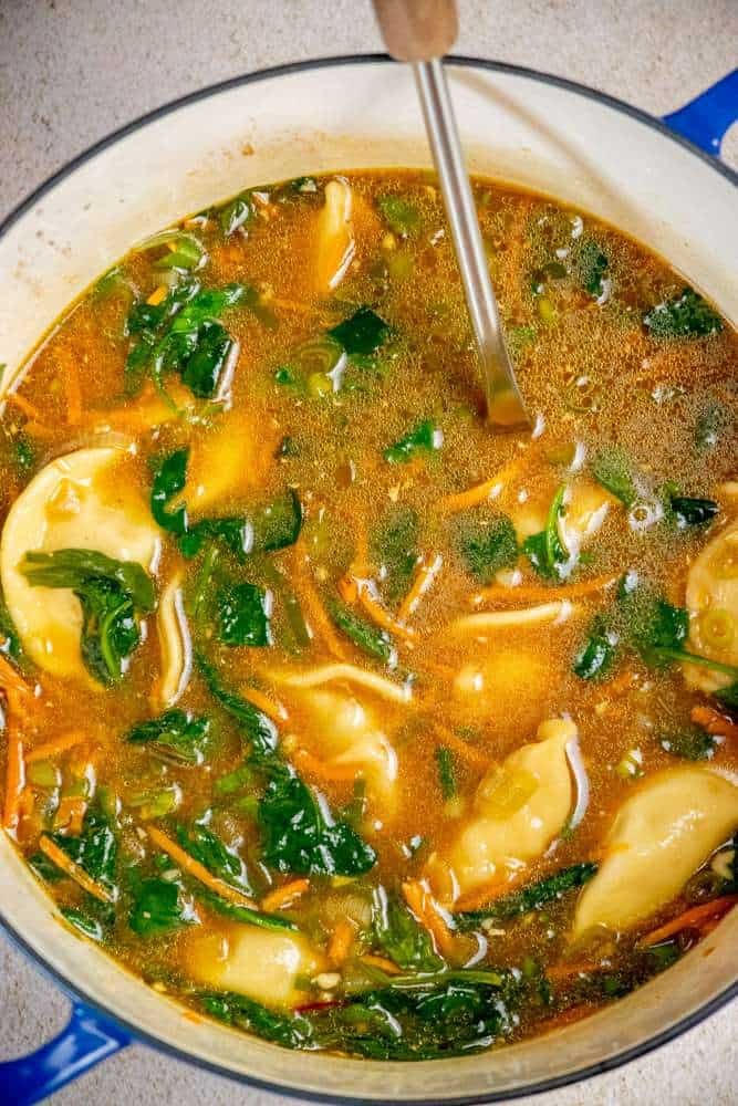 asian soup with dumplings