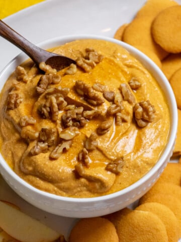 Pumpkin Pie Dip (High Protein)