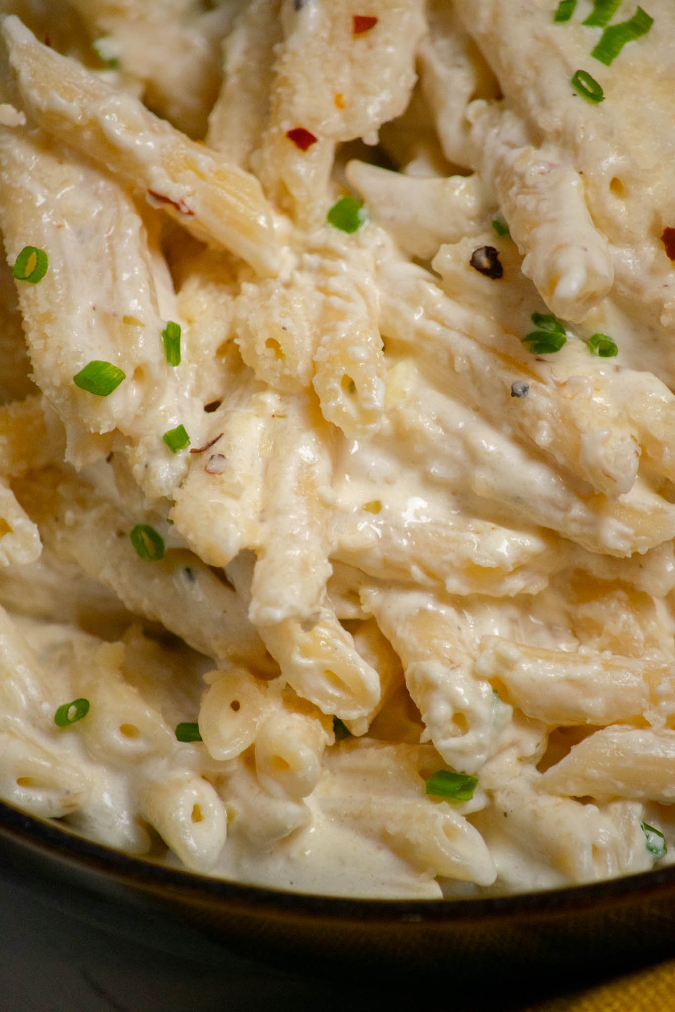 Penne Alfredo Pasta (with Cream Cheese)