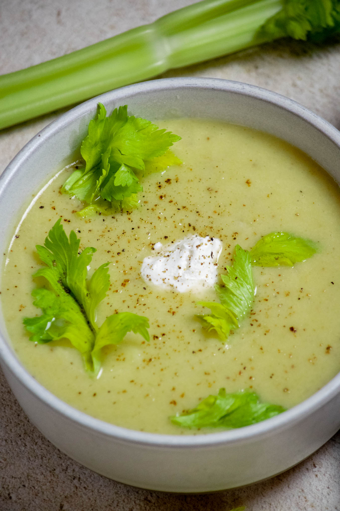 Celery Soup Recipe