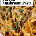 porcini pasta