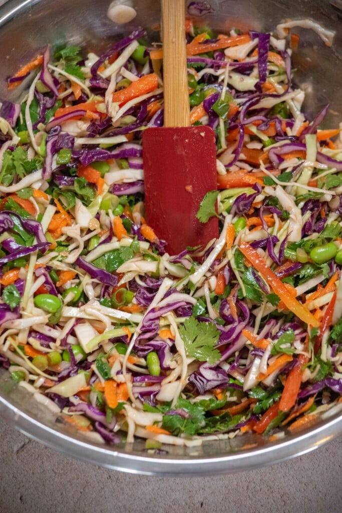 Dress the salad, tossing well to coat, and allow to sit at room temperature for 20 minutes for best texture and flavor. 